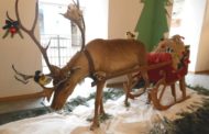 La renna di Babbo Natale, al Museo Faraggiana, regala doni ai bambini